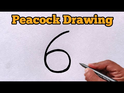 How to draw peacock from number 6 | Easy peacock drawing for beginners