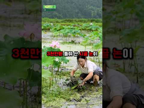 3천만원 들여 산 시골논이 쓸모없는 땅이 되어버린 충격적인 이유