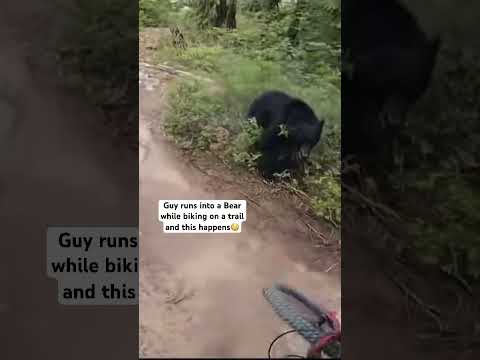 That could of been bad fam💔#viralvideo #youtubeshorts VID CRED-willlewwismtb