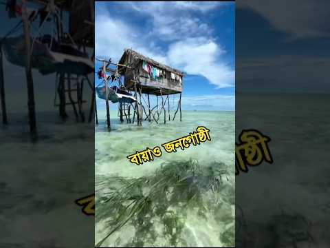 যাদের কোনো দেশ নেই! রহস্যময় বায়াও জাতি 🌊 #shorts
