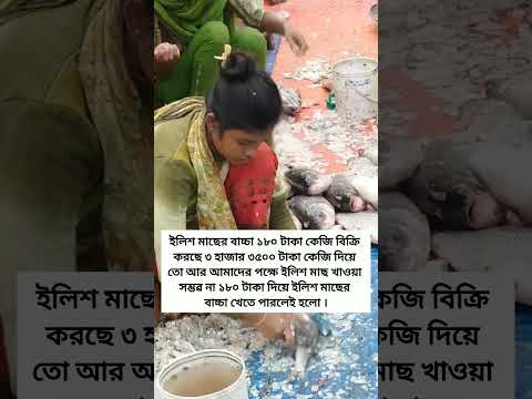 ইলিশ মাছের বাচ্চা ১৮০ টাকা কেজি | Bangla Emotional Shorts #ForYou #BanglaLifeStory #BanglaStory #FYP