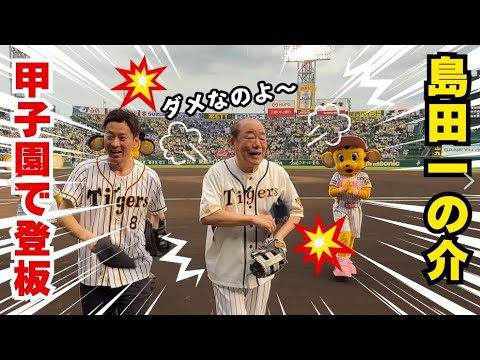 島田一の介（75歳）甲子園の投球に密着🐯【ノーバン達成⁉】🥎