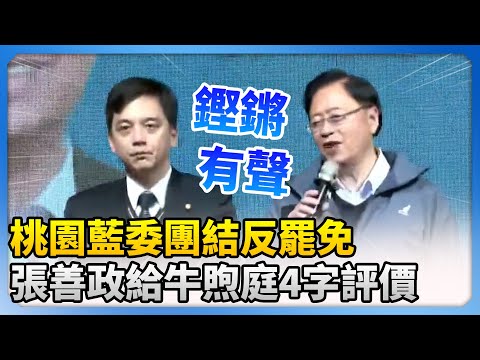 桃園藍委團結反罷免　張善政給牛煦庭4字評價 @ChinaTimes