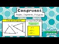Identifying Congruent Angles and Line Segments