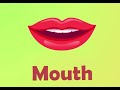 Understanding Basic Phrases in English and Vietnamese