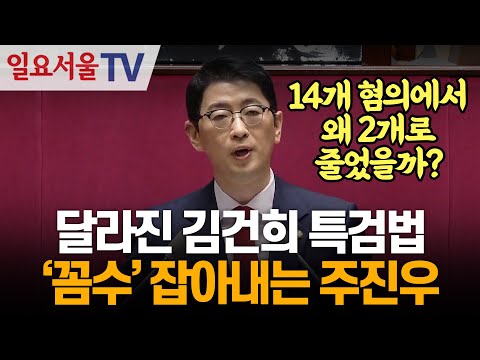 달라진 김건희 특검법 '꼼수' 잡아내는 주진우