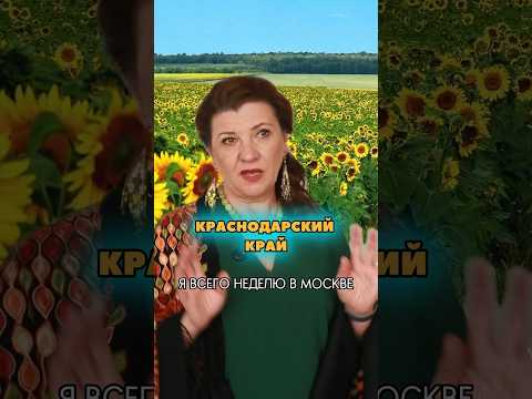 Как в разных регионах называют одни и те же вещи: баклажаны