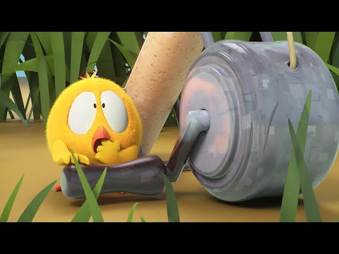 Chicky vai pescar | Onde está Chicky? | Pintinha amarelinho | Coleção desenhos animados Infantil HD