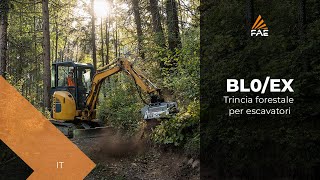 Trincia forestale FAE BL0/EX per escavatori da 2 a 4 t