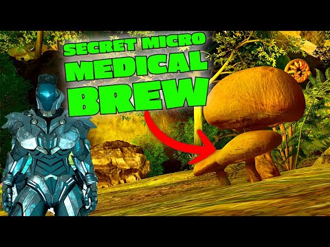 Secret MICRO MEDICAL BREW on Aberration in Ark Survival Ascended!!!