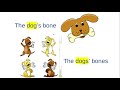 Exploring Plural Possessive Nouns