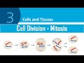 Molecular Biology Concepts Assessment