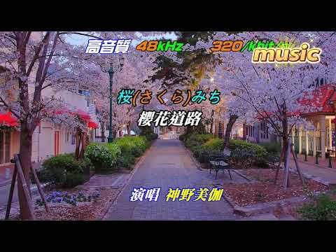 【櫻みち】神野美伽KTV 伴奏 no vocal 無人聲 music 純音樂 karaoke 卡拉OK 伴唱【櫻みち】神野美伽