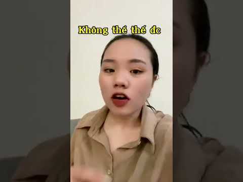 Trị mèo uống nước nhà vệ sinh -Thảo Mèo