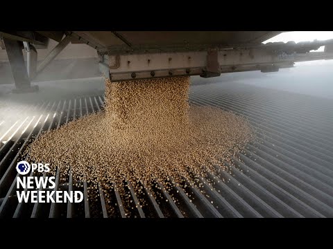 YouTube video thumbnail: Minnesota Farmers Struggle to Stay Afloat as China Boycotts U.S. Soybeans