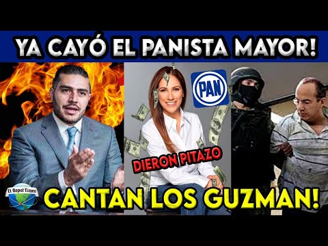 CANCELAN OPERATIV0 ENJAMBRE EN GUANAJUAT0, GOBERNADORA DEL PAN DIO EL PITAZ0