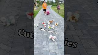 बेचारे Puppy 🐶 को कोई नहीं ख़रीद रहा 🥹 | Cute Dog 🐕