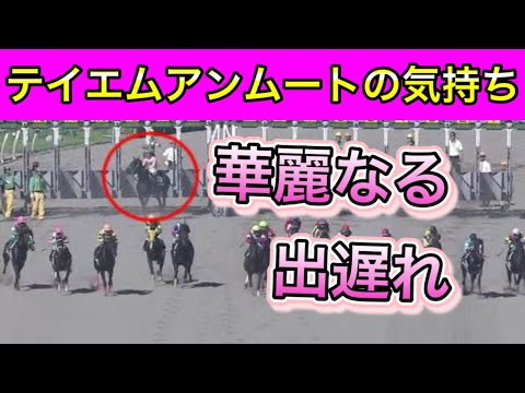 華麗なる出遅れをする テイエムアンムートの気持ち【馬の気持ちシリーズ】優雅な出遅れ【競馬】パイセンの競馬チャンネル