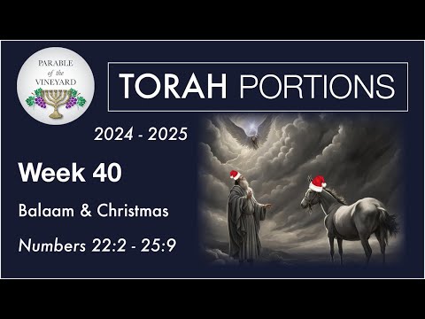 Torah Portion Week 40 - Numbers 22:2 - 25:9 (Balaam and Christmas)  2024 - 2025