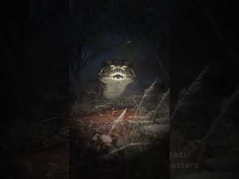 Giant Snake Nightmare