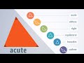 Triangle Properties and Classifications
