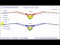 Red Bird Flight Mechanics