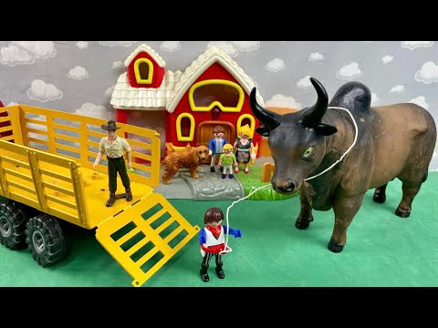TRANSPORTING OUR GIANT BULL / TRANSPORTANDO O NOSSO TOURO GIGANTE