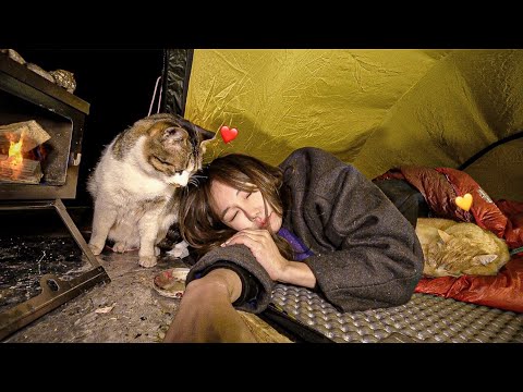 그 어느때보다 따뜻했던 겨울캠핑 (부제: 고양이와 침낭 같이쓰기) / 맥반석 통닭구이 &케요네즈 샐러드+ 막걸리 / 3인용텐트 속  2🐱+1👩 / 솔로캠핑 /동계캠핑