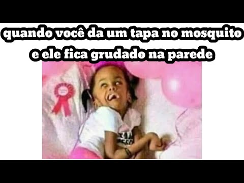 🔴 OS MELHORES MEMES EM IMAGENS - Um tapa  no mosquito 🔴