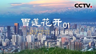《雪莲花开——对口援疆纪实》01 援疆建设者谱写壮丽新篇章 用奉献点亮新疆美好未来【CCTV纪录】