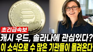 [솔라나 전망]캐시우드, 솔라나에 관심있다? 이 소식으로 수 많은 기관들이 몰려온다