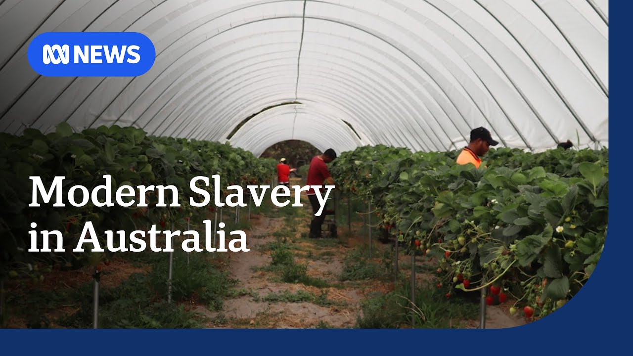 Why does Australia need an anti-slavery commissioner? | ABC NEWS