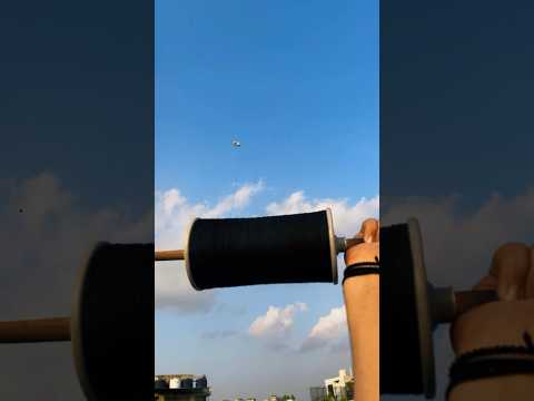 Kite flying edit //15 August🪁(Makar Sankranti)#kite #patang #kitefighting#independenceday