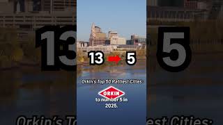 CT city finishes fifth on 'rattiest cities' list