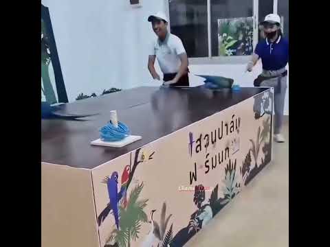 জিততে পারলেই হলো সেটা যেভাবেই হোক😆😆 #youtube #viral