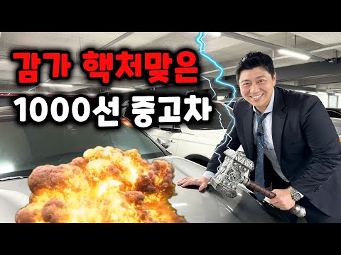 1000만원대 가성비 끝판왕 중고차 모음 (2024)