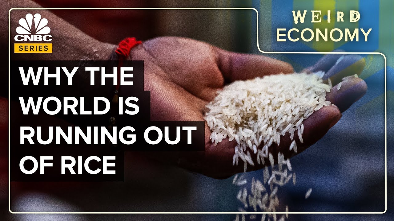 Why Rice Markets Are In Crisis Mode