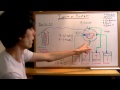 Firing Order and Engine Components