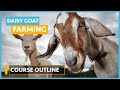 Goat Farming Concepts and Practices
