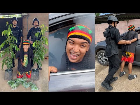 ATRAPARON AL TIO RASTAFARI DE LARIN 😂 | 1 HORA DE RISA CON ALFREDO LARIN Y SUS AMIGOS | HUMOR LATINO