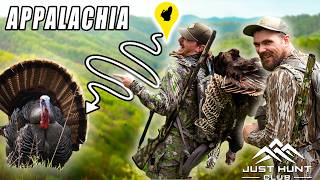 Last Morning Magic! Epic Ridge-Running Turkey Hunt Ends in a Perfect Gobbler Setup