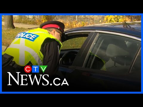YouTube video thumbnail: New CAA Study Sheds Light on Edible Cannabis and Collision Risk Among Young Drivers
