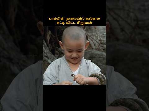 A little monk killed a snake #shortstamil #shortsfeed