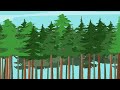 Carbon Sequestration and Climate Change