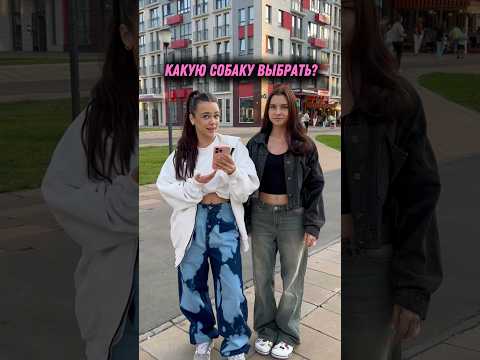 Какую собаку выбрать? #влог #мотивация #влоги #питомцы