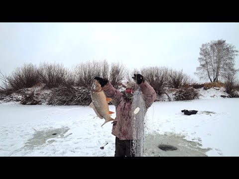 Опустили хапуги и не смогли вытащить. Откуда они здесь?