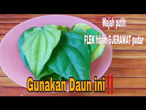 TIPS‼️ MEMUTIHKAN WAJAH, MENGGLOWINGKAN&MEMUDARKAN FLEK HITAM &JERAWAT BANDEL