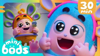 Bubbles VS Stage Fright! | Too Shy For Showtime! | 30 Minutes of Minibods | Funny Preschool Cartoons