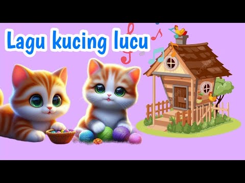 Lagu anak kucing kecil lucu bermain dan  berlari