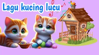 Lagu anak kucing kecil lucu bermain dan  berlari